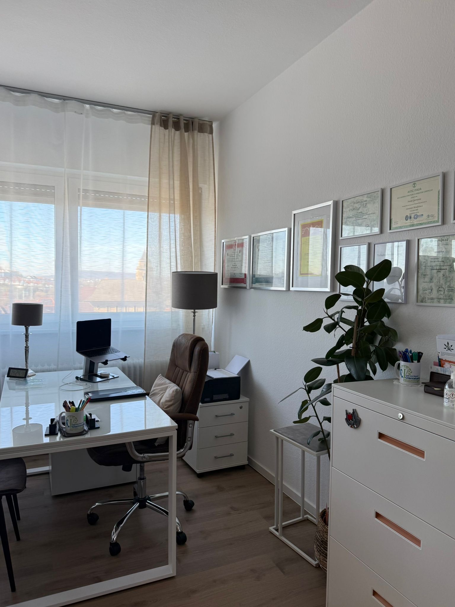 Spazio di lavoro con pianta e diplomi
